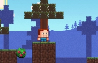 Play CraftMine now!