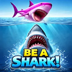 Be a Shark!