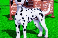 Play Dog Simulator 3D now!
