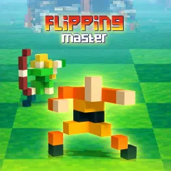 Play Flipping Master Game