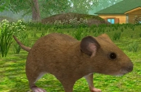 Play Forest Mouse now!