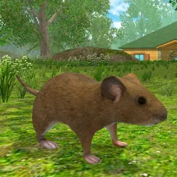 PLay Forest Mouse now!