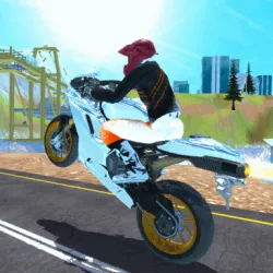 PLay Fury Bike Rider now!