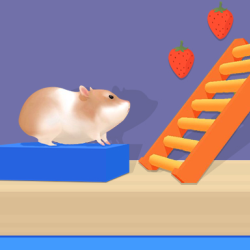 Play Hamster Maze Online now!