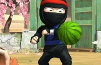 Play Ninja now!