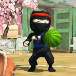 Play Ninja now!