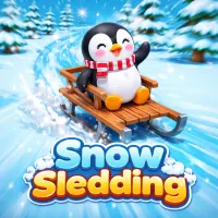 Snow Sledding