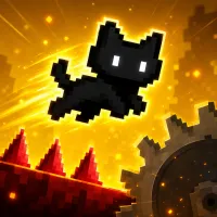 The Way of The Cat