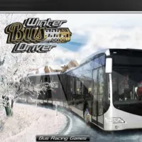 Winter Bus Driver