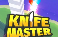 Play Knife Master : Ball Racing now!