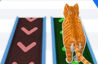 Play Pet Trainer Duel now!