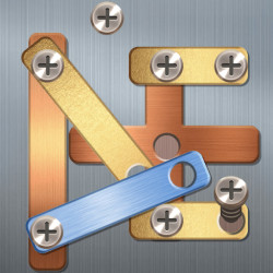 Play Screw Puzzle now!