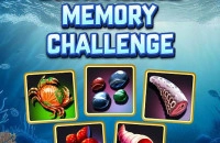 Play Seafaring Memory Challenge now!