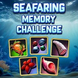 Play Seafaring Memory Challenge now!