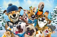 Play Winter Pets Puzzle now!