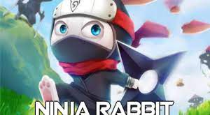 Ninja Rabbit